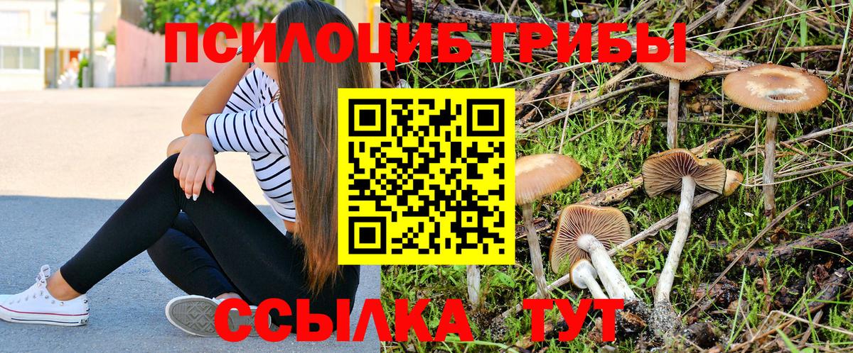 Чапаевск  Галлюциногенные грибы ЛСД  Вход с VPN 