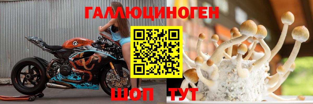 Галлюциногенные грибы Magic Shrooms Чапаевск