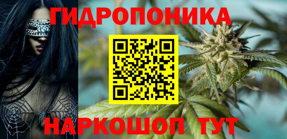 Каннабис сатива  МАРИХУАНА OG Kush  Бошки Шишки Bruce Banner  Чапаевск 